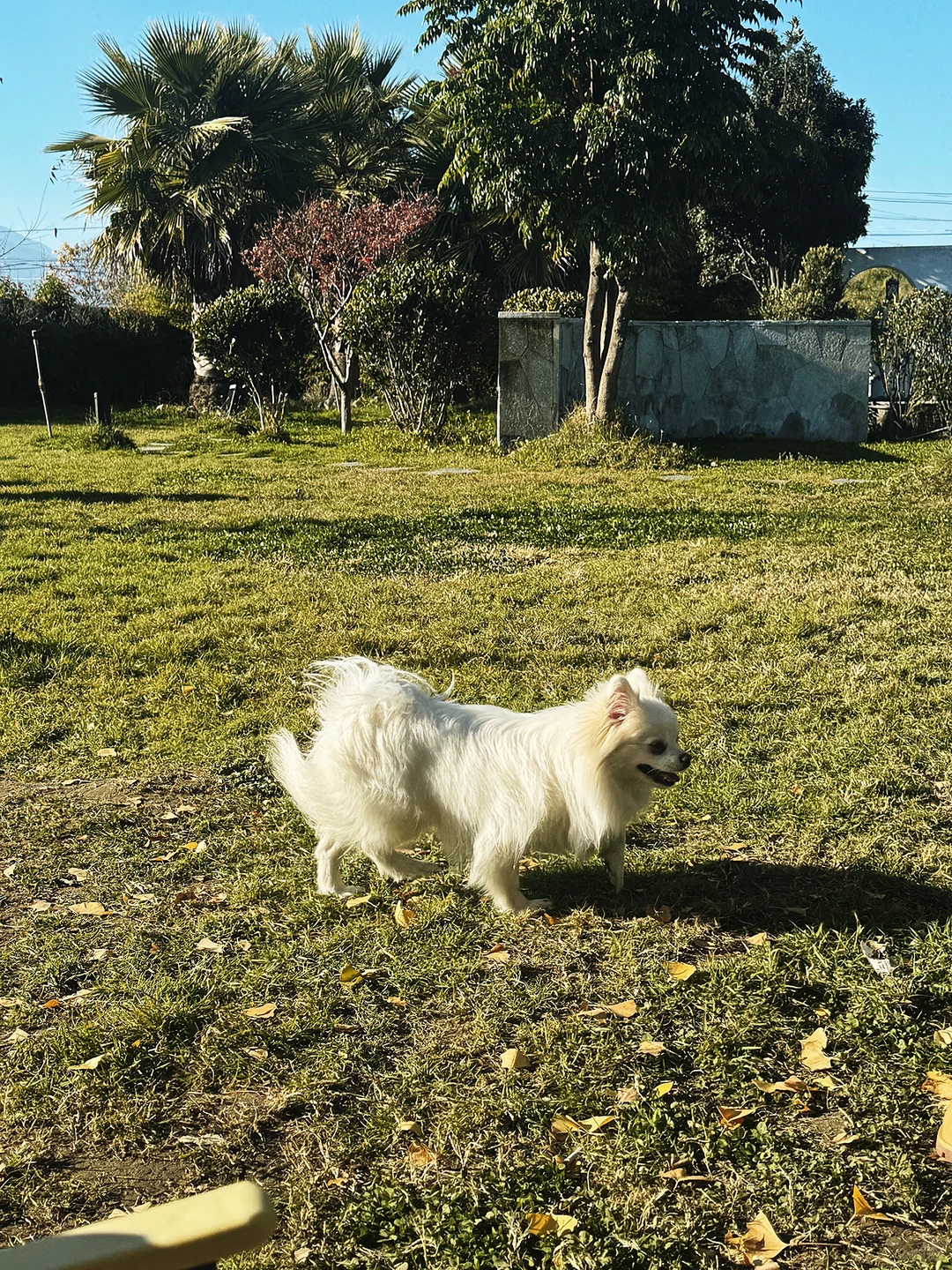 在大理发现了一家巨有性价比的山景咖啡厅