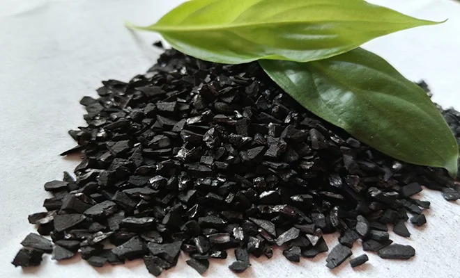 净水级果壳活性炭：自然与科技的完美结合