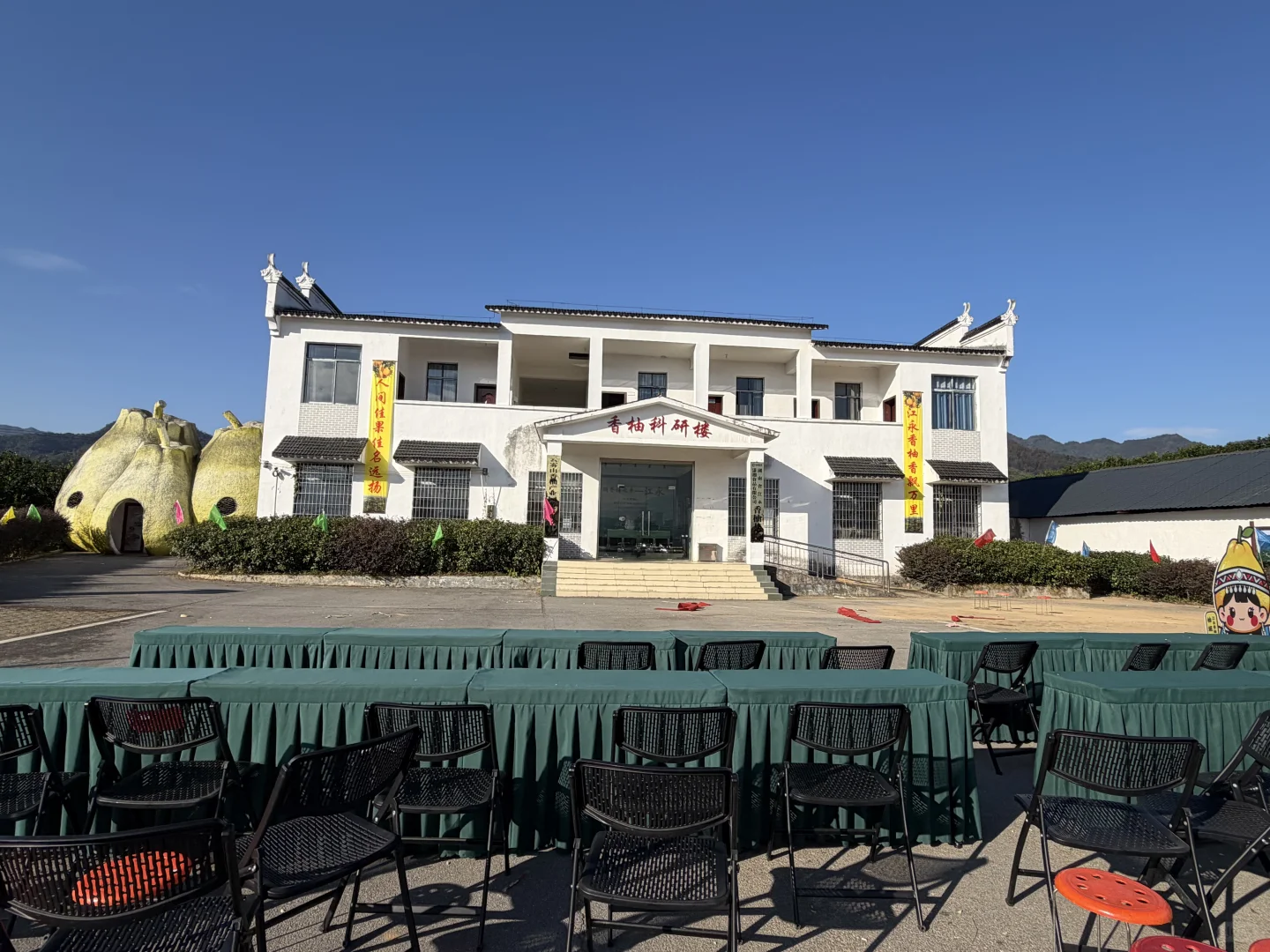 爱吃柚子的姐妹看过来，正宗江永香柚