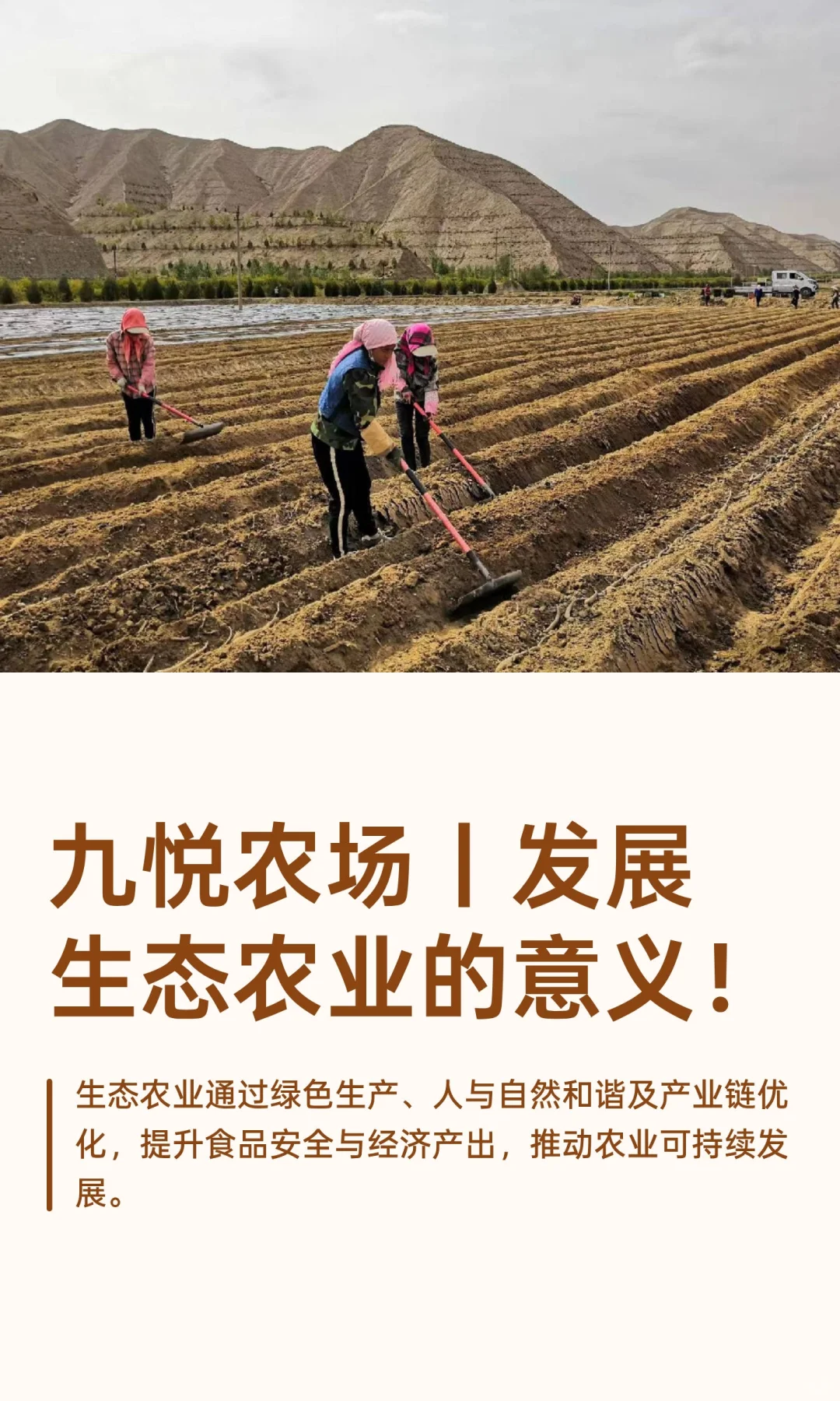 九悦农场丨发展生态农业的意义！