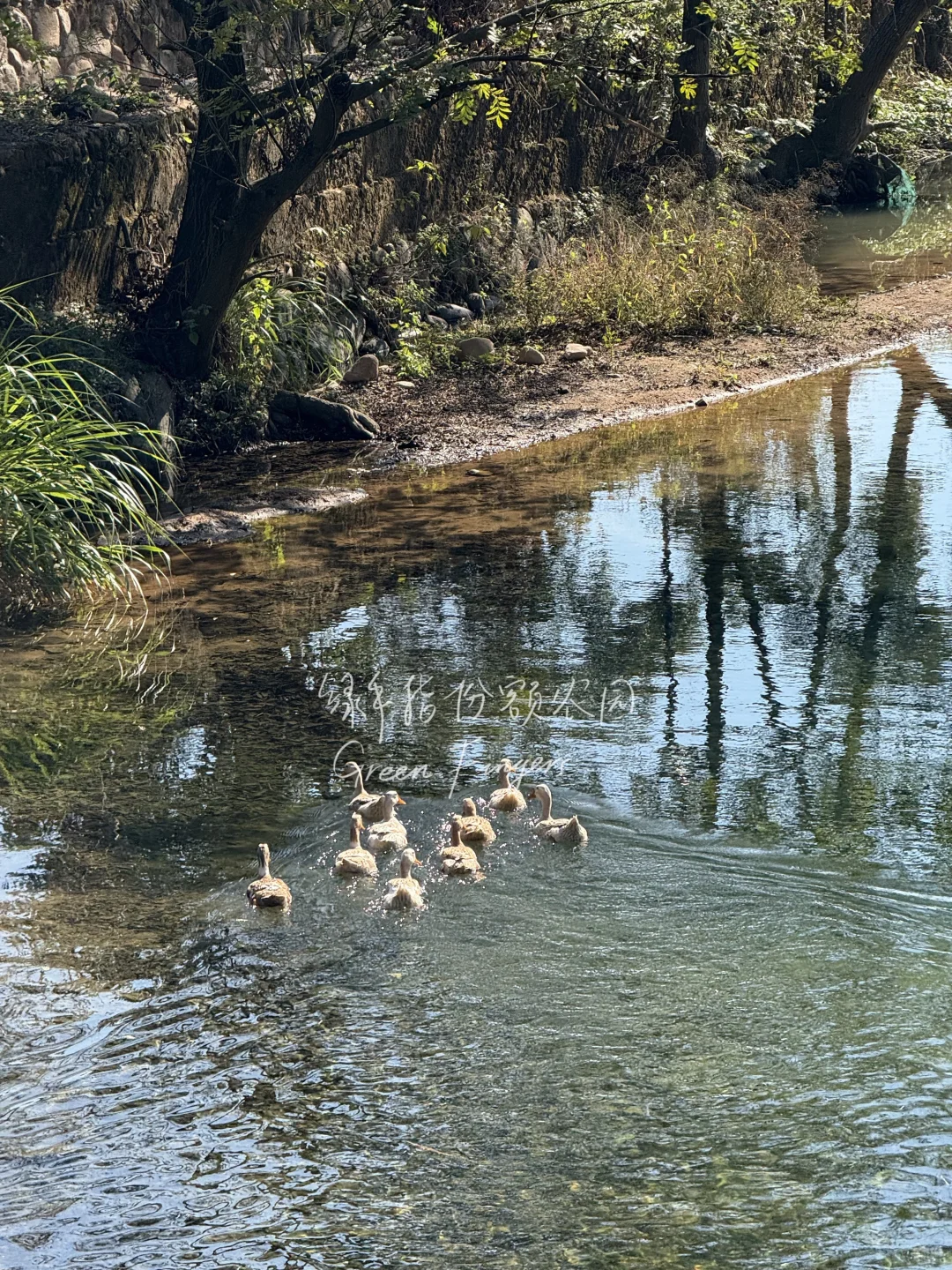 在广东，12月能吃到什么菜?