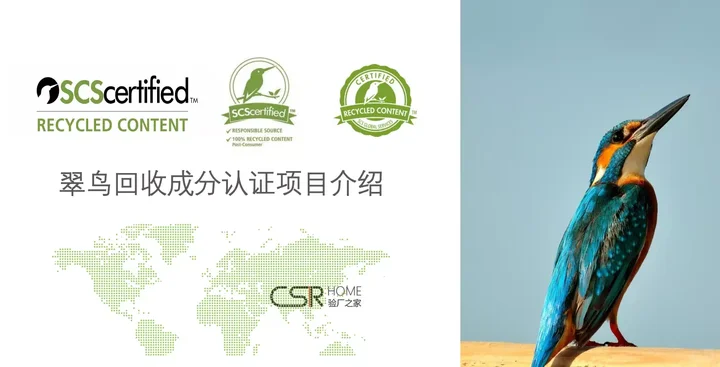 SCS翠鸟RC：让环保贡献“看得见”