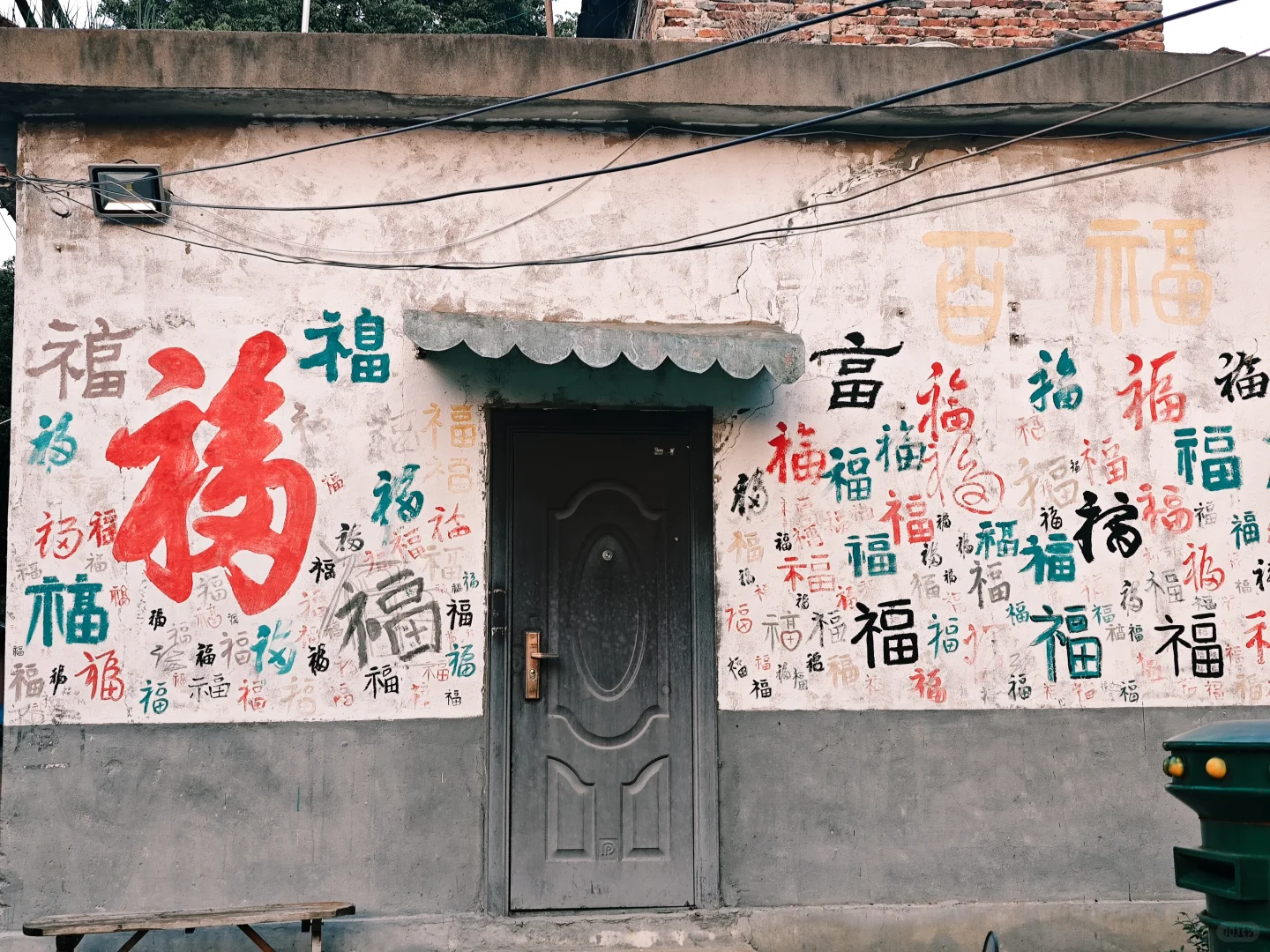 又是一年萝卜季