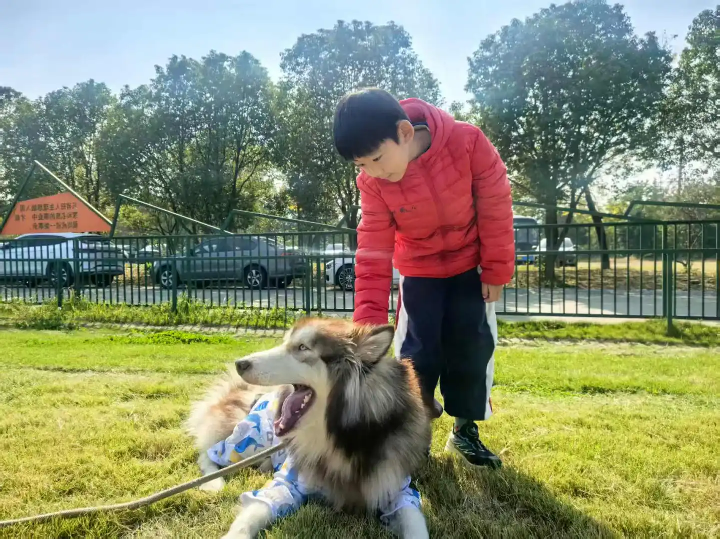 拖拉机开沟机采购订单有意者私聊