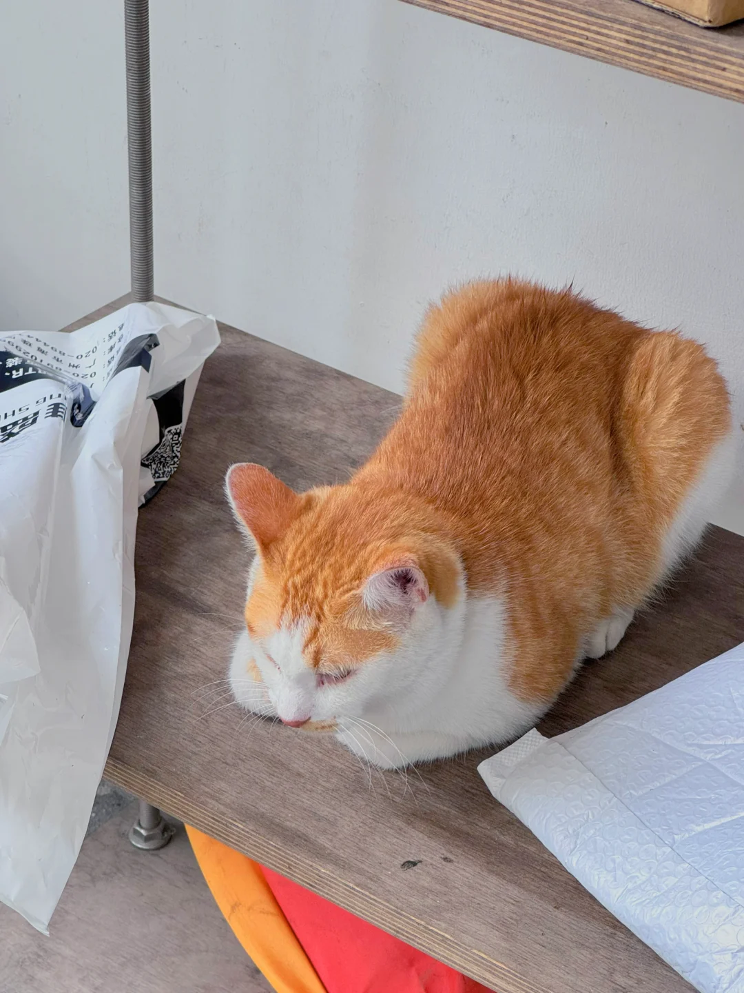 我好像真的在广州找到神仙工作