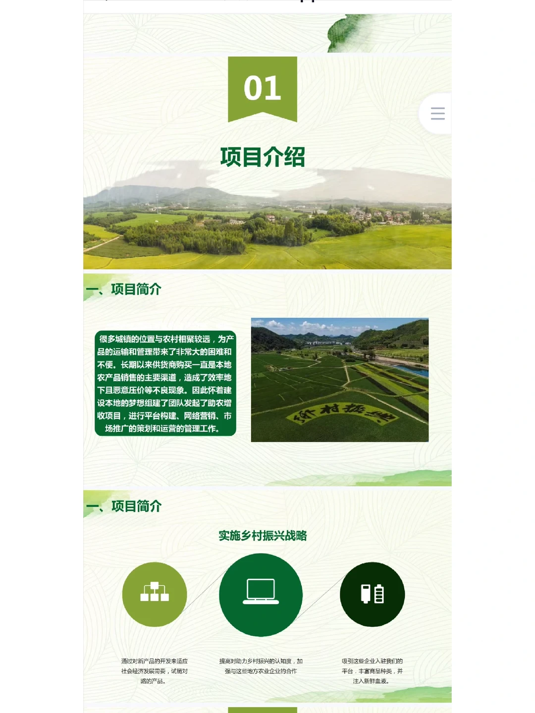 互联网+创新创业大赛（乡村振兴助农电商）
