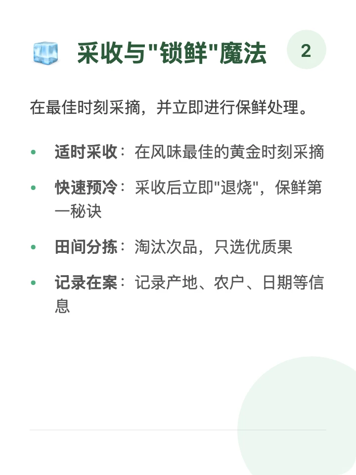 每天一条供应链「蔬菜」?