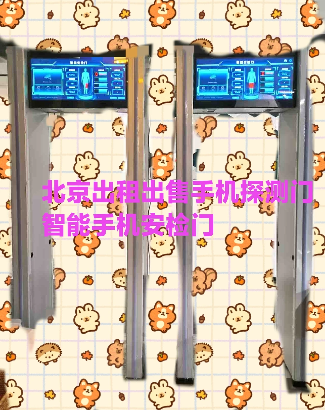 北京出租安检门手机探测门安检机安检设备