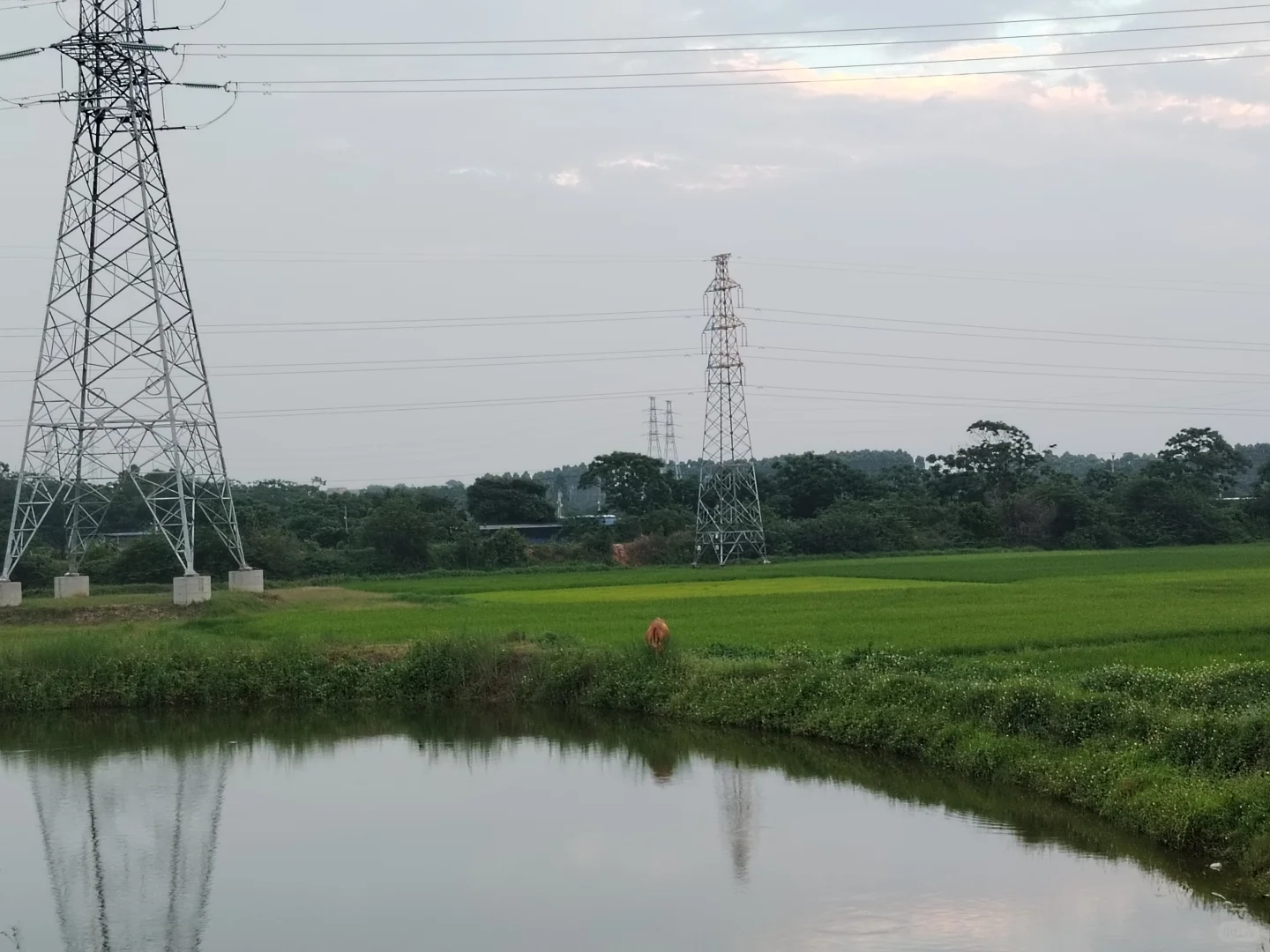 可再生能源与会计