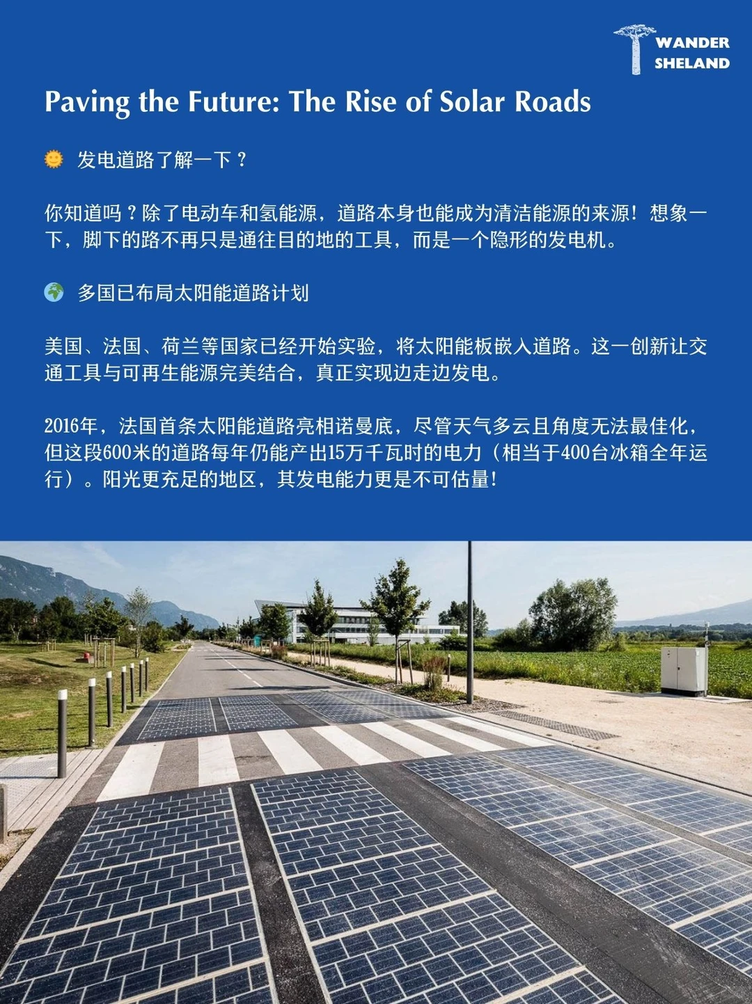 国际清洁能源日|有关可再生能源的7件趣事