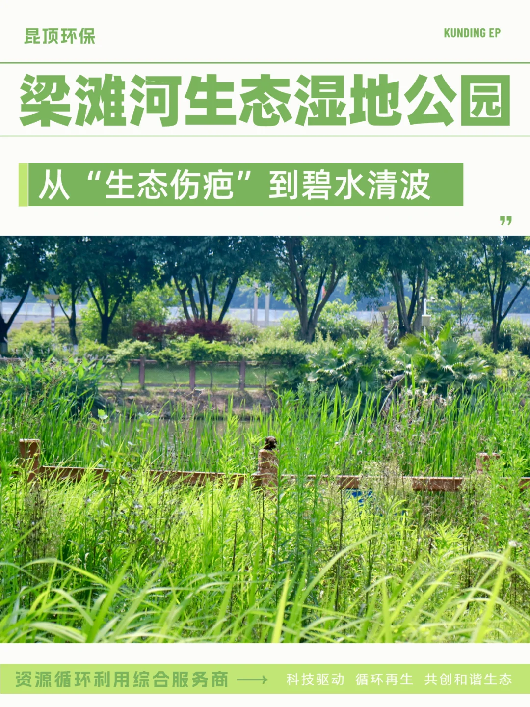 从生态伤疤到碧水清波 见证梁滩河重生