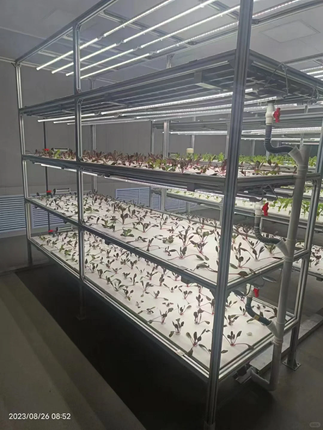 植物工厂——新型农业生产模式