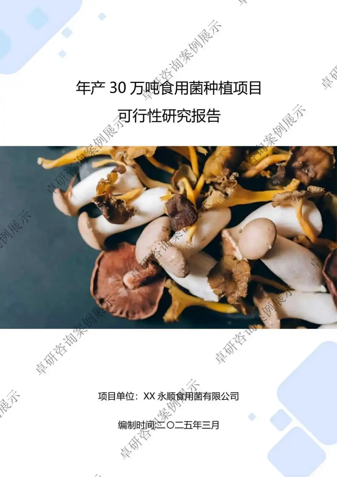 年产 30 万吨食用菌种植项目可行性研究报告