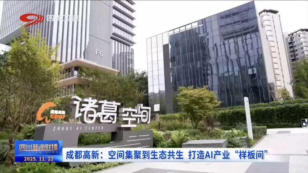 成都新川2025年11月大事件全播报