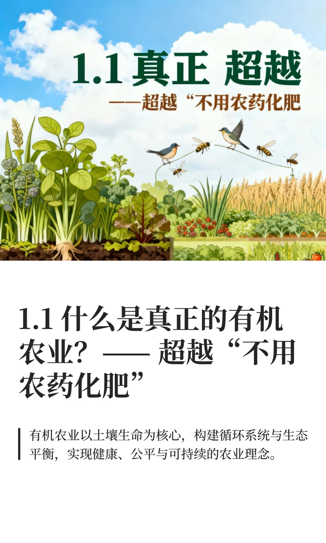 1.1 什么是真正的有机农业？—— 超越“不