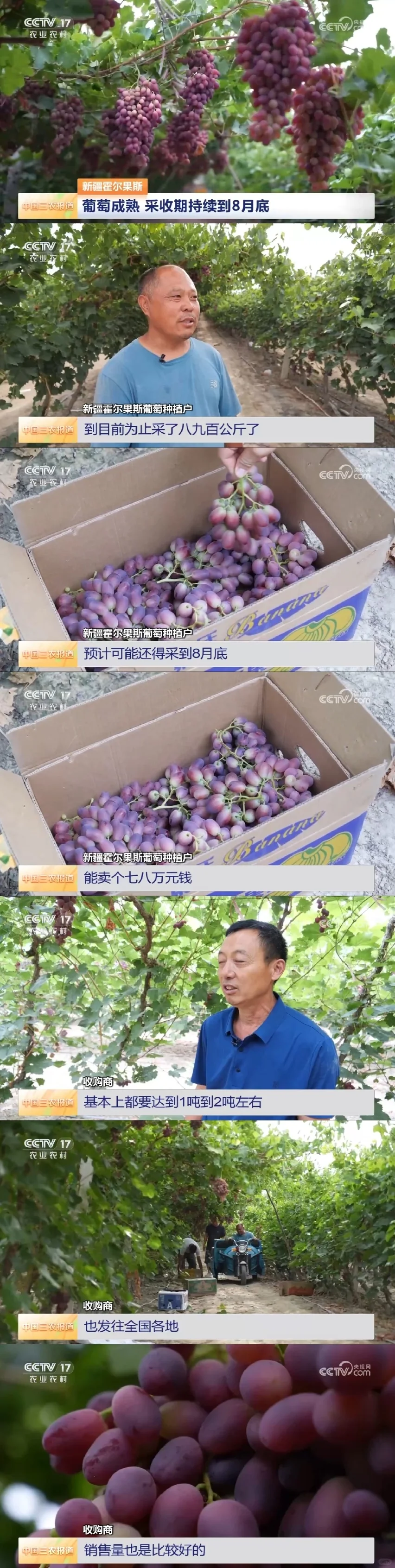 2025年8月1日农业新闻摘录。