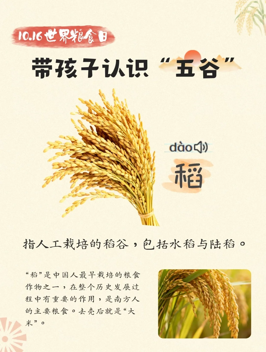 带孩子认识“五谷”