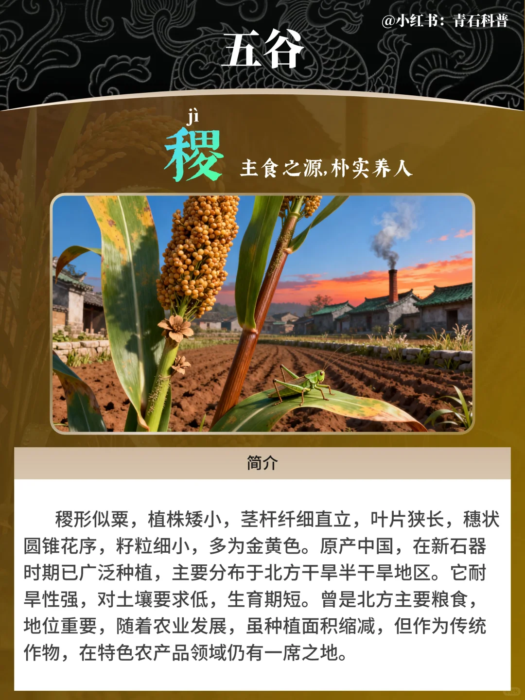 五谷，都包含哪五谷？