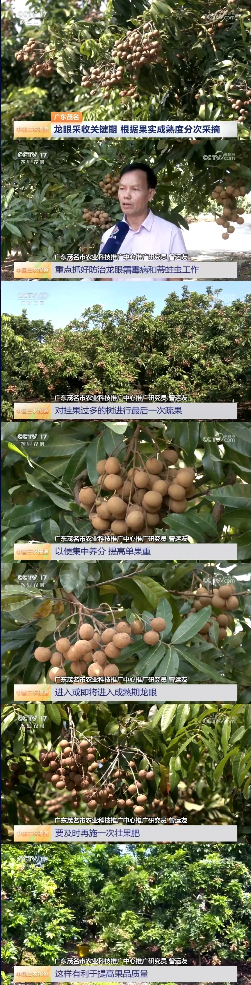 2025年8月1日农业新闻摘录。