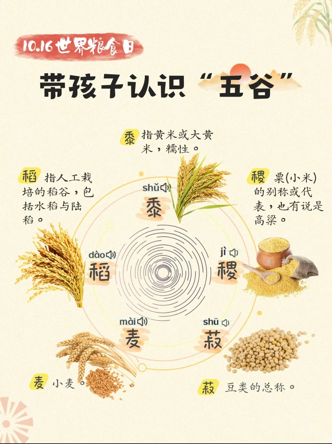 带孩子认识“五谷”