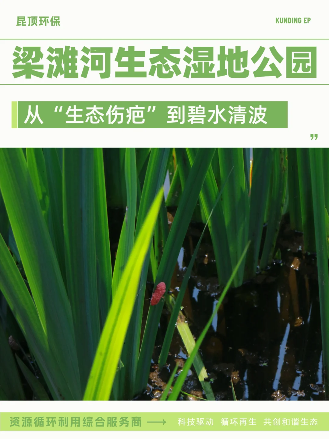从生态伤疤到碧水清波 见证梁滩河重生