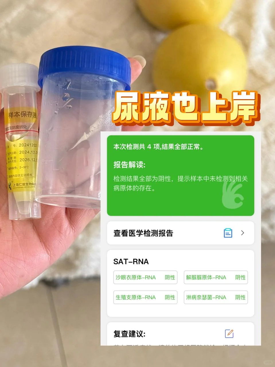 认证干净弟弟的sop被我做出来了(传染病篇)