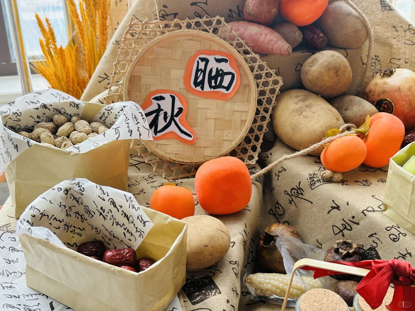 幼儿园秋季植物角——晒秋、秋收冬藏