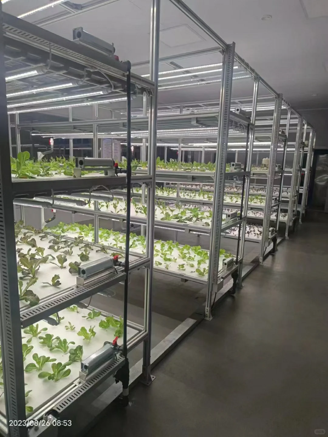 植物工厂——新型农业生产模式