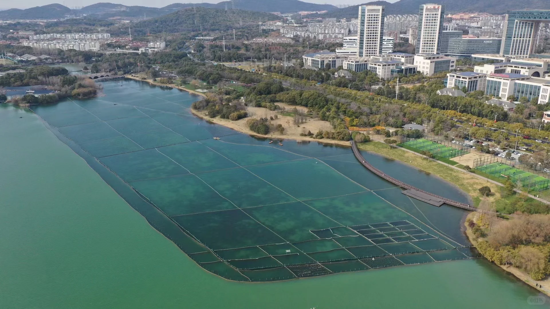 水生态修复美图