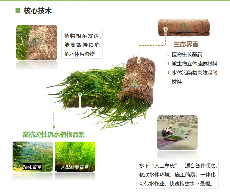 水下森林奇迹,生态界面打造完美水生生态!