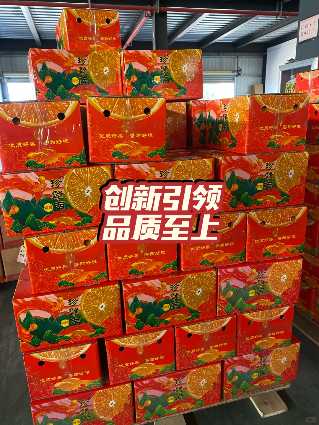 创新引领 · 品质至上