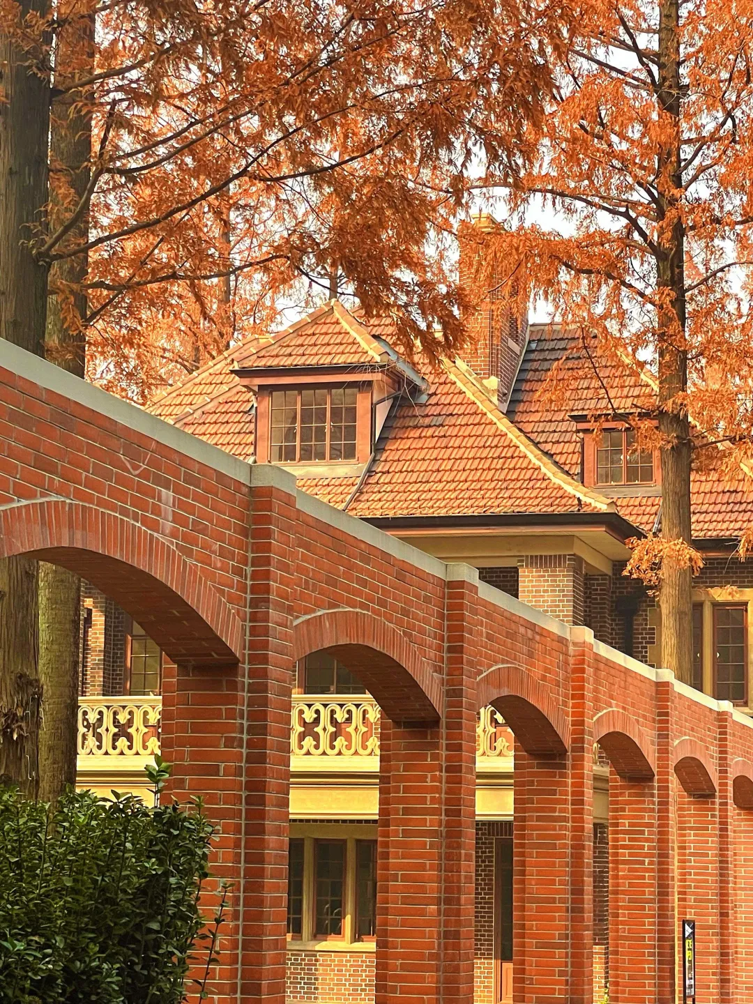 武夷路：非标商业体招商品牌餐饮、零售等