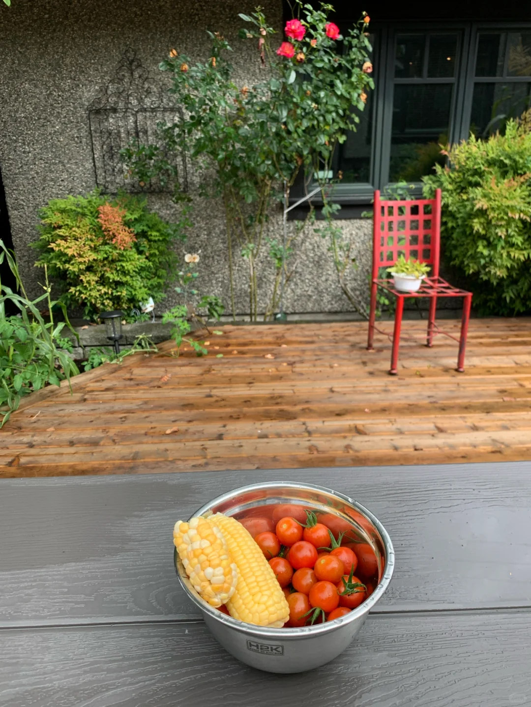 院子里的经济作物