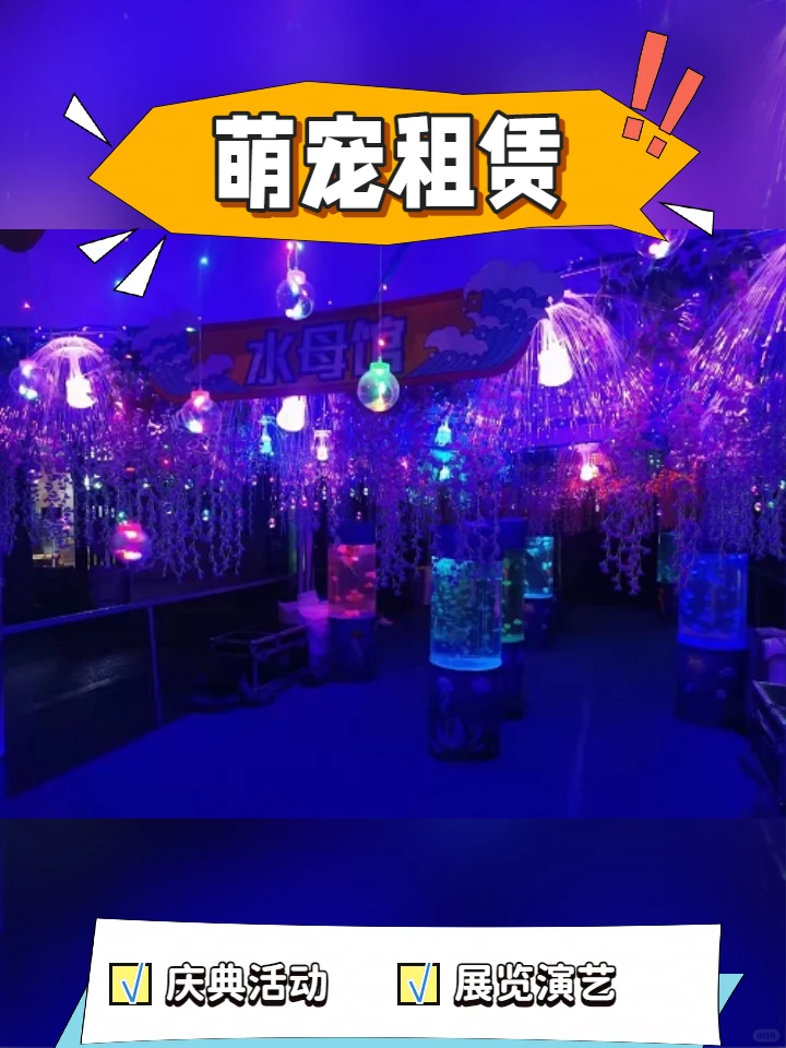 云浮企业活动海狮表演长期合作