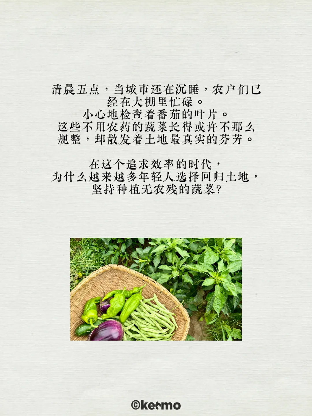 科默田间新系列-为什么农村菜更鲜？