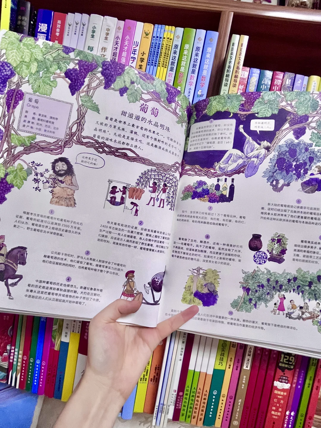 咋办呀！我真的沉醉在这绘本里了！命根子书！！