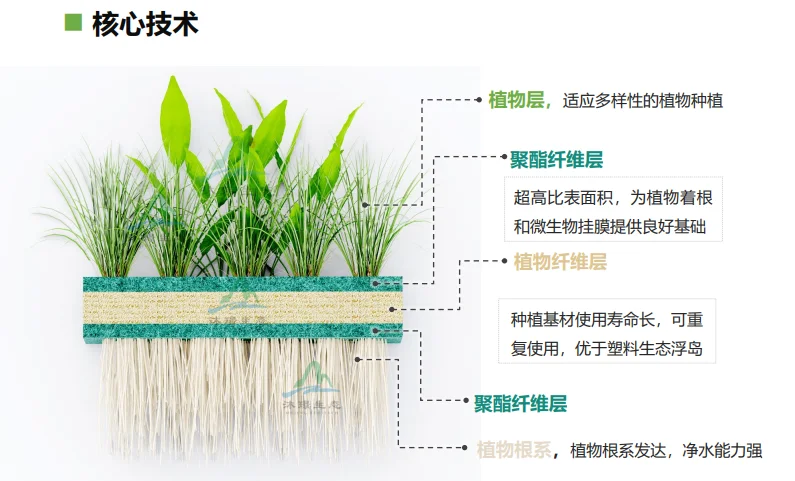 浮动湿地，让水质净化与生态美化同步实现