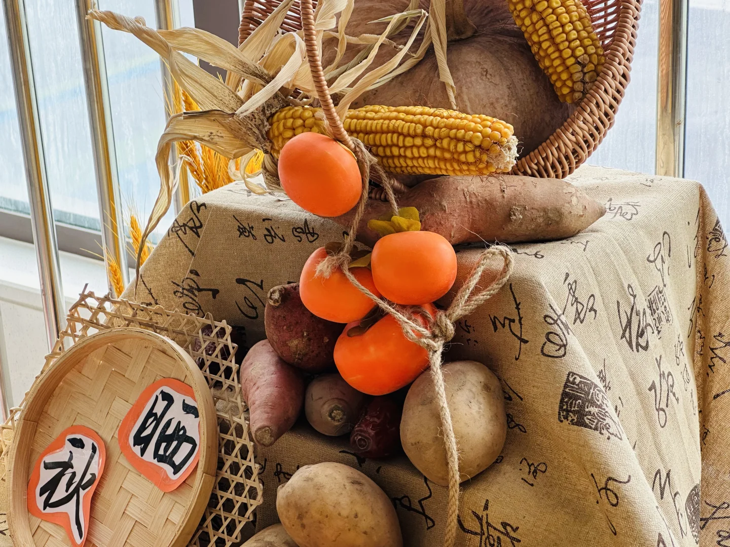 幼儿园秋季植物角——晒秋、秋收冬藏