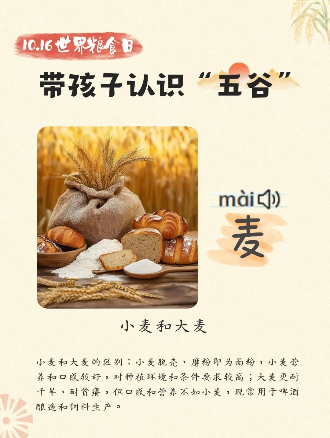 带孩子认识“五谷”