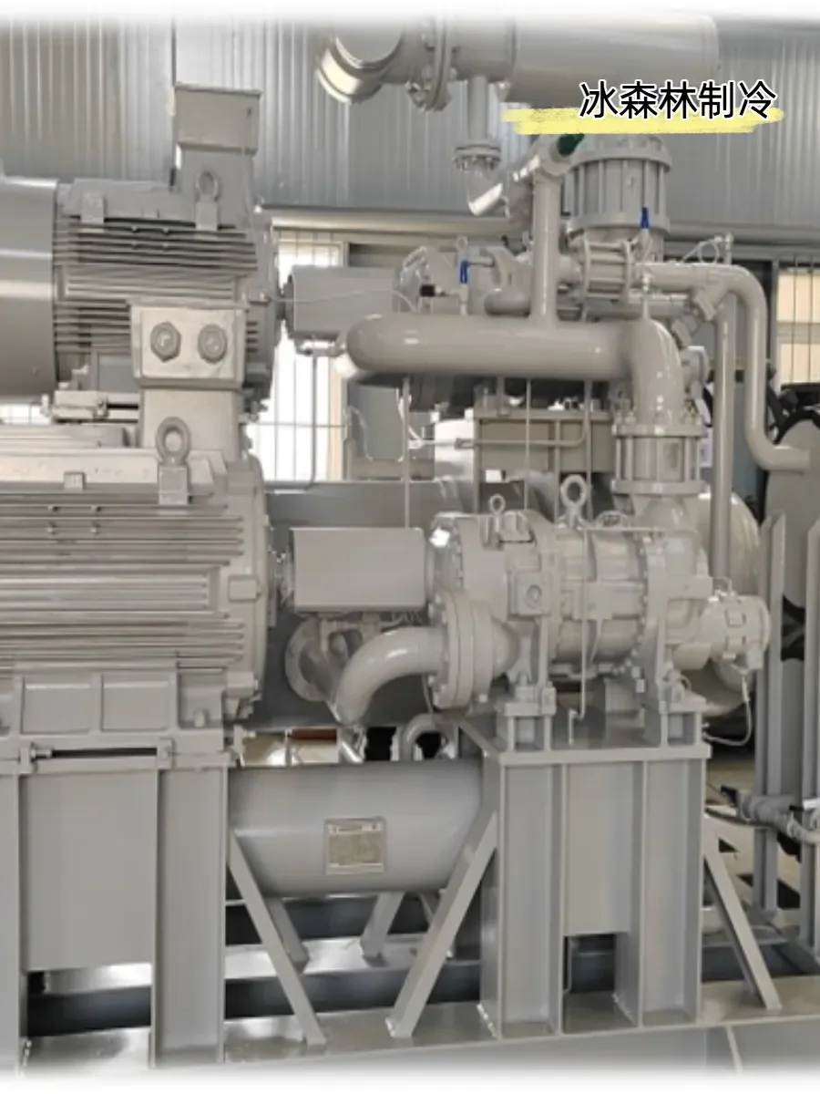 大连冰森林制冷技术亮点大揭秘