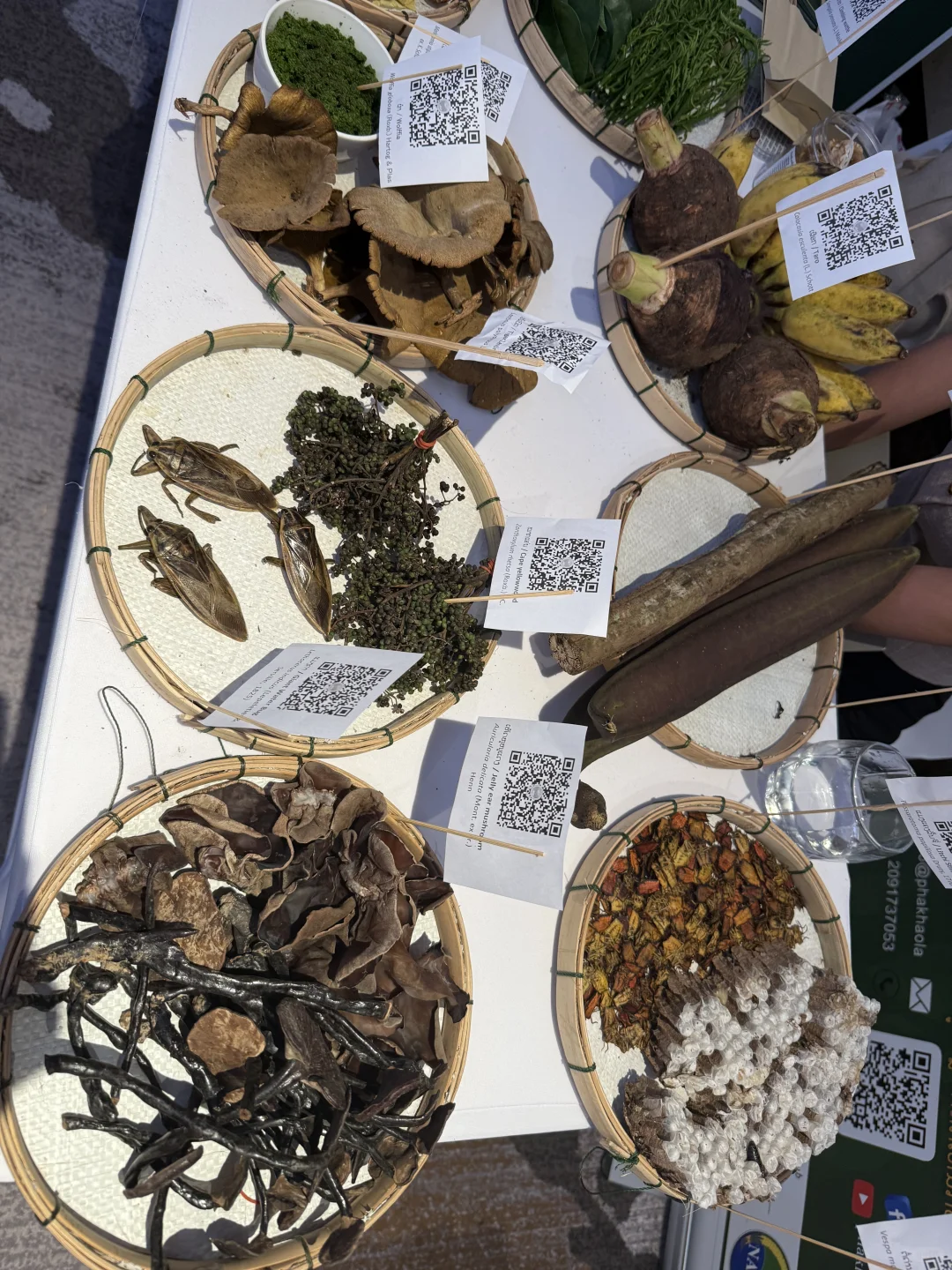 老挝??万象 老挝农业展会上买豆试一下