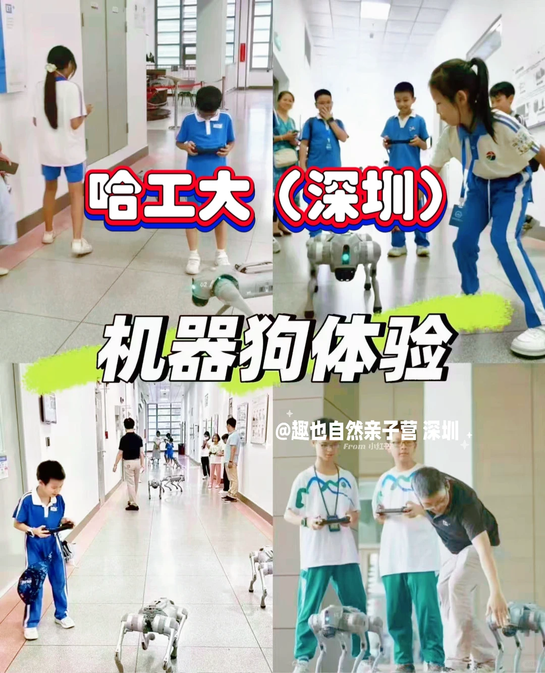 深圳遛娃｜12月遛娃活动排期，科技遛娃大合集