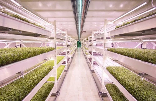 植物工厂——新型农业生产模式