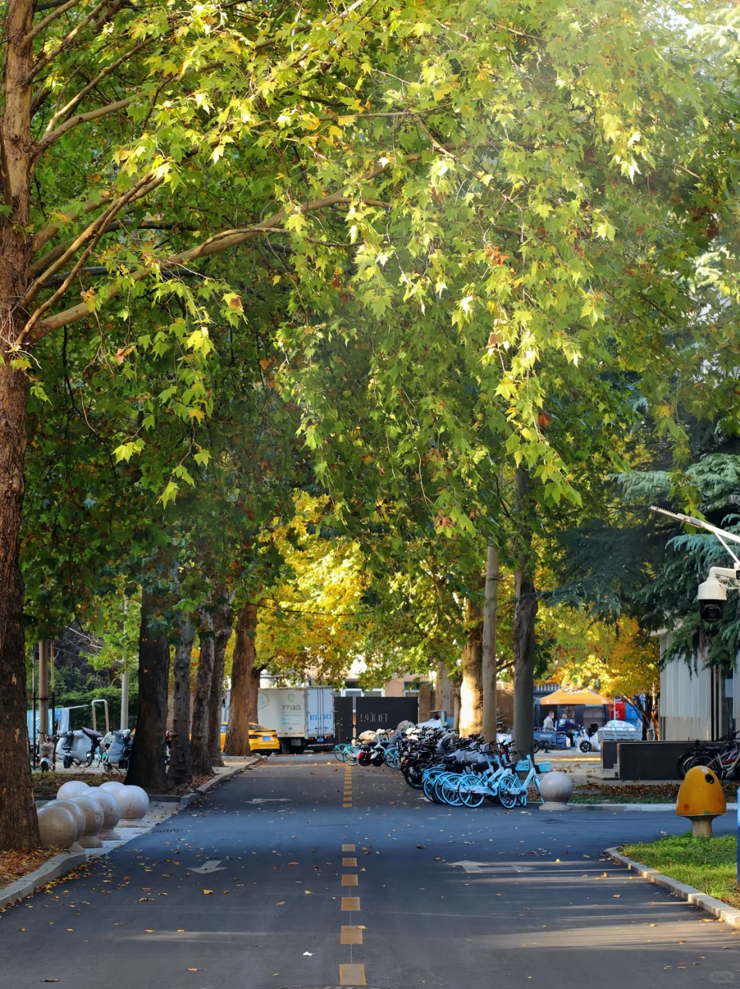 不是打击河北体制内，但是考河北农业大学..