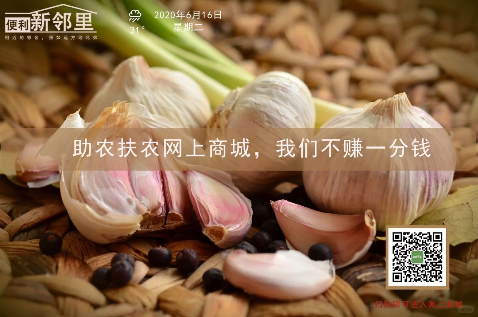 521长征计划