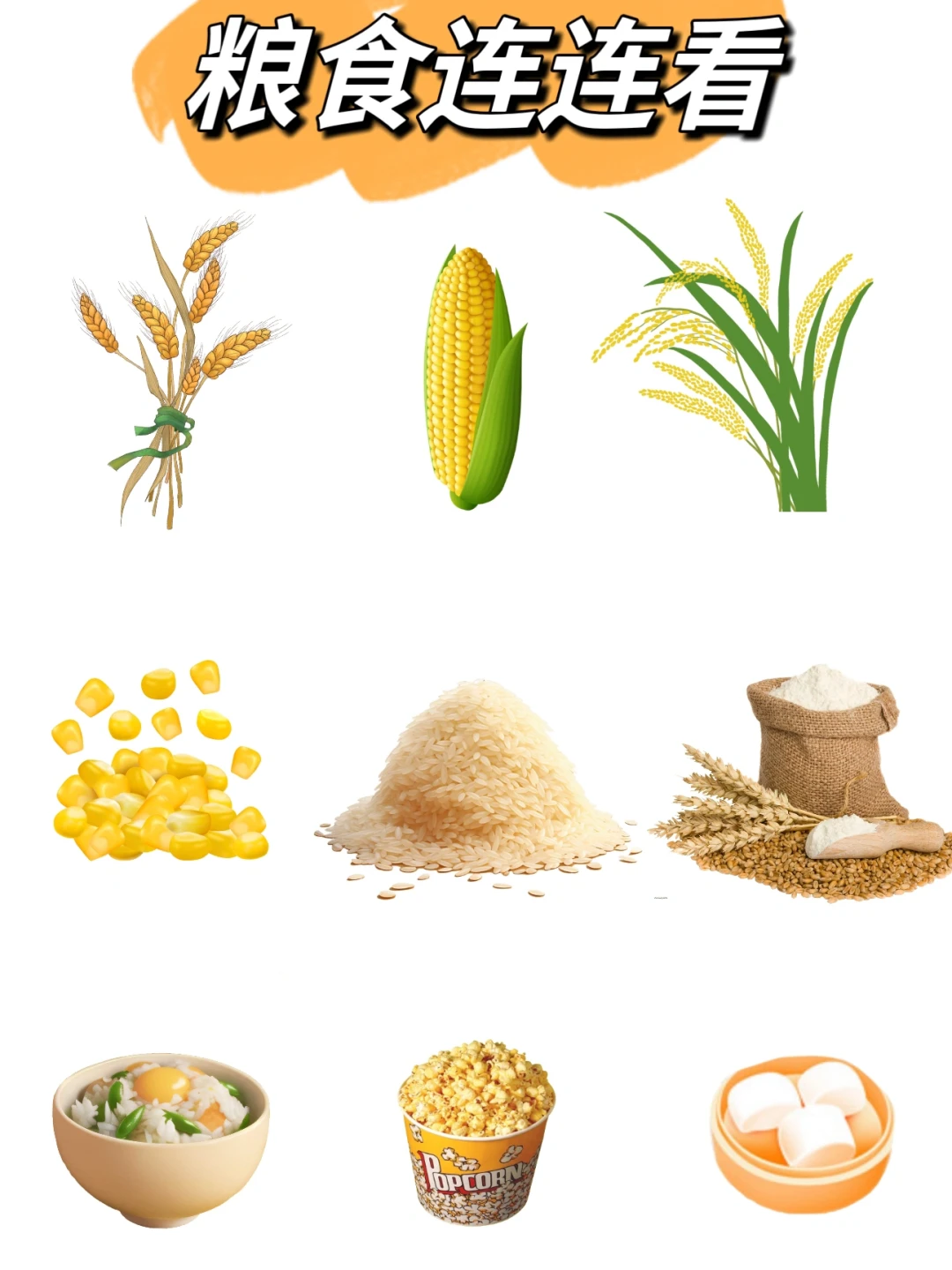 每天科普一点知识 孩子们快来粮食连连看
