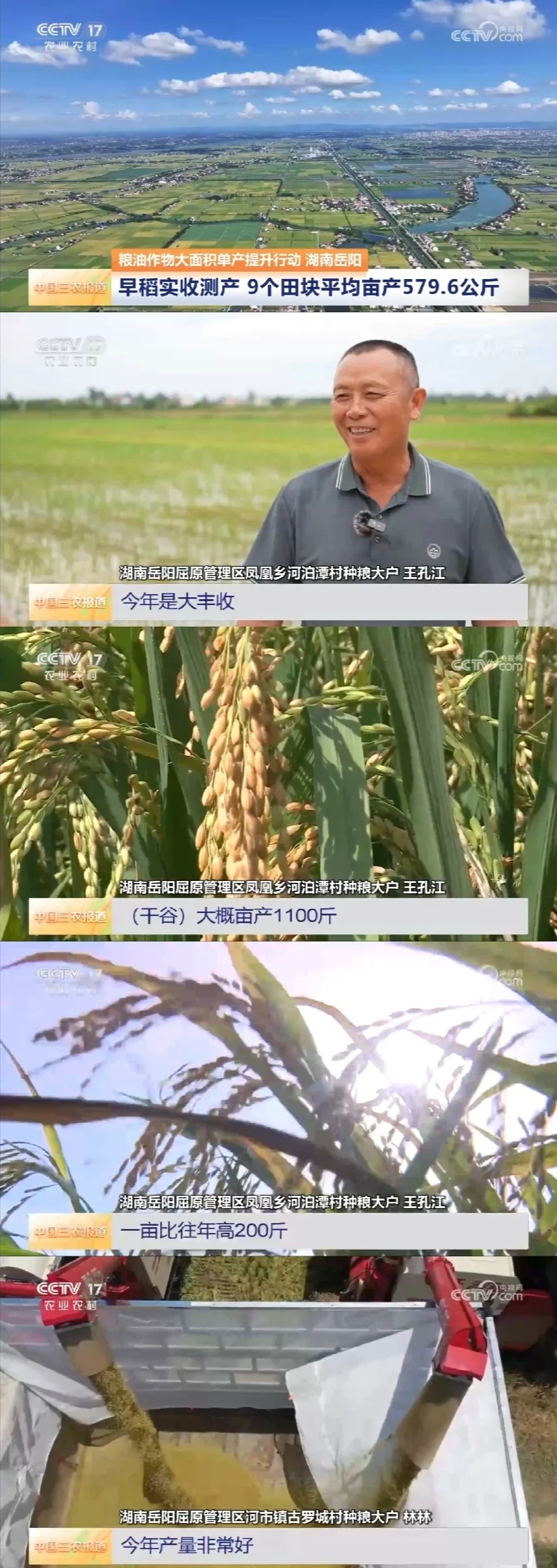 2025年8月1日农业新闻摘录。