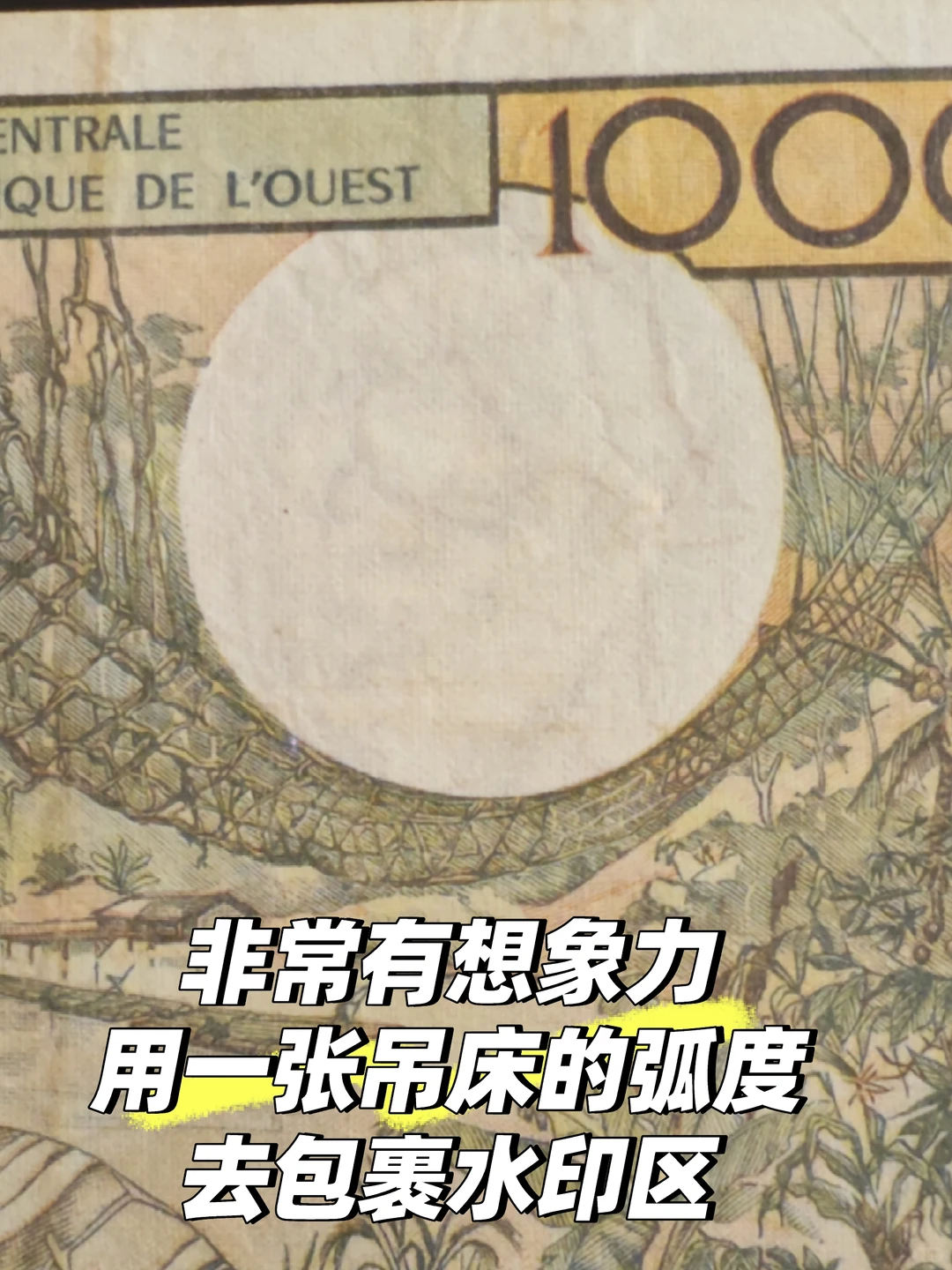 1965年1000西非法郎：一张经济作物大观园