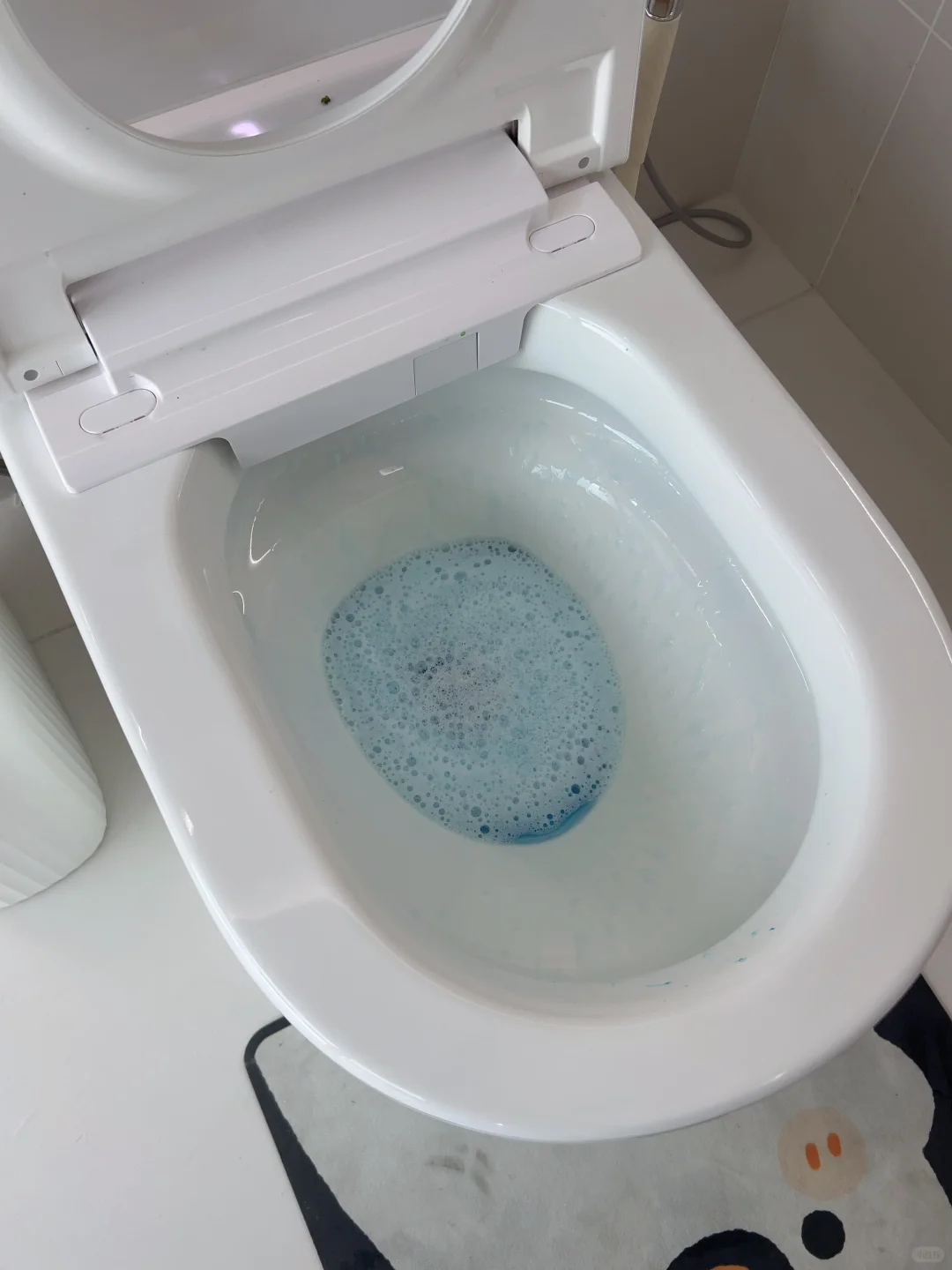 我奉劝那些想买智能马桶的人…