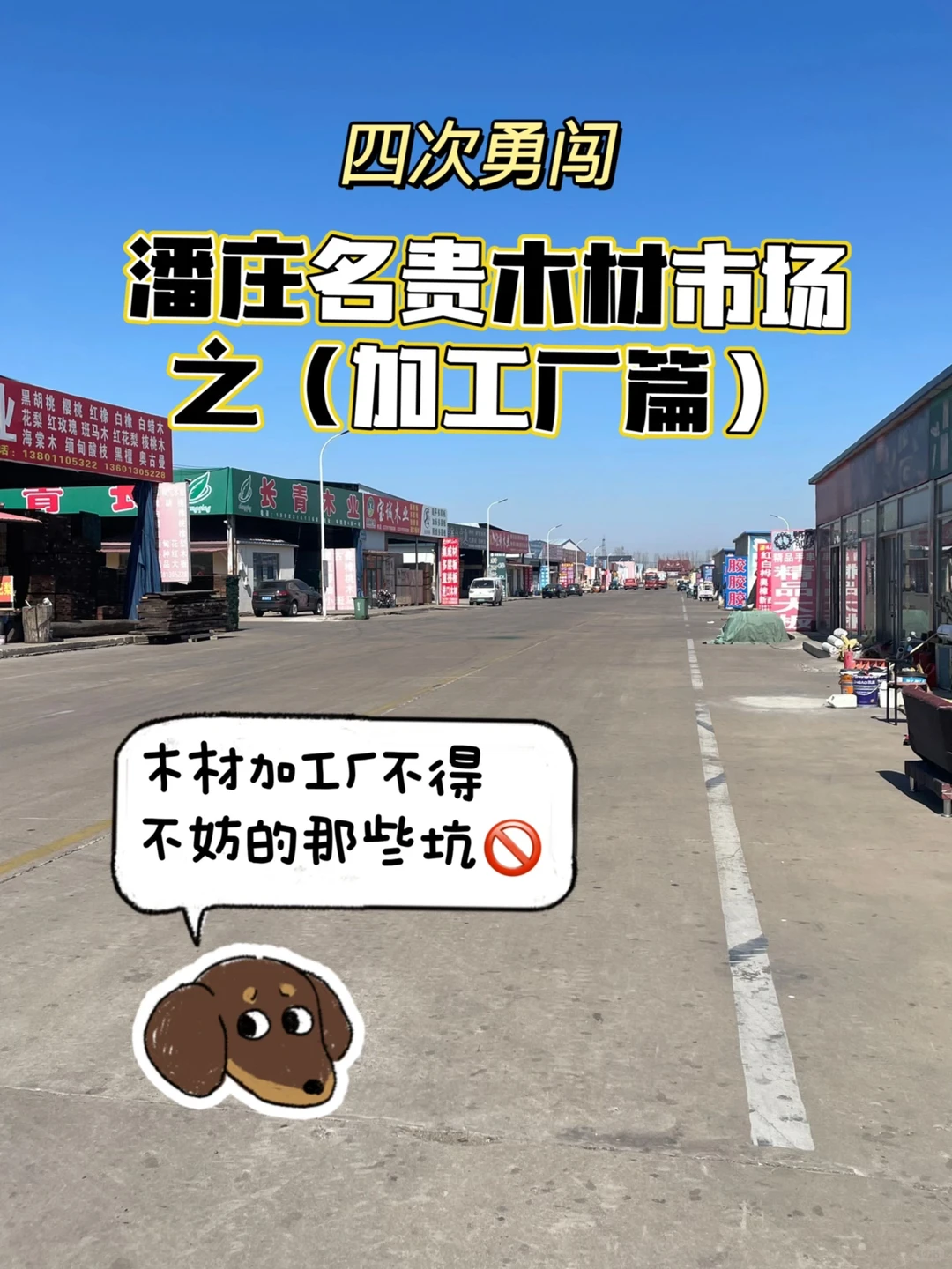 超实用攻略来袭！天津潘庄名贵木材加工厂篇